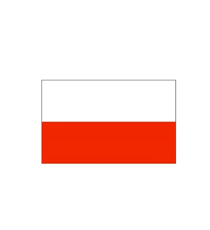 Bandera Polonia 20 x 30 cm