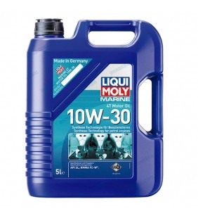 Aceite motor 4T 10W-30 5 L
