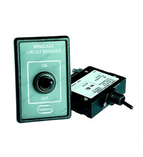 Interruptor magnetotérmico 100Amp para molinete