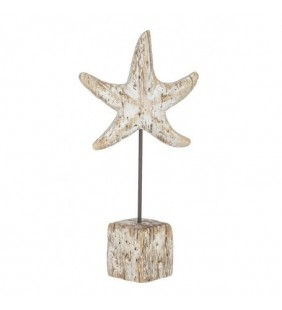 Estrella de mar