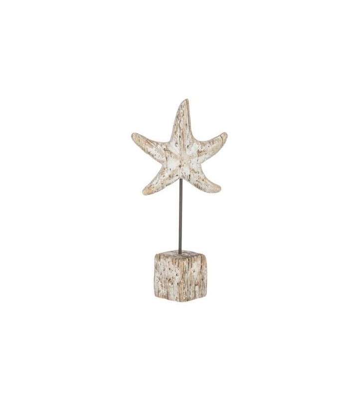 Estrella de mar