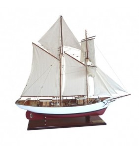 Barco Etoile