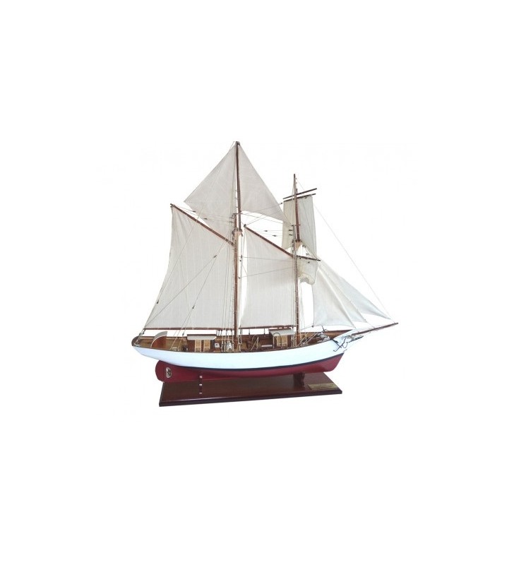 Barco Etoile