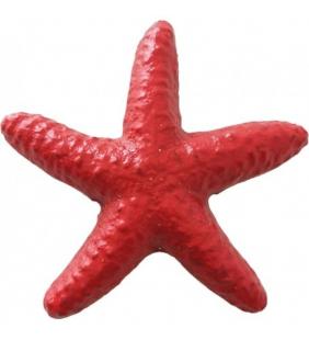 Estrella de mar decorativa