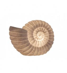 Lámpara caracol de mar