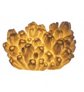 Lámpara coral de mar