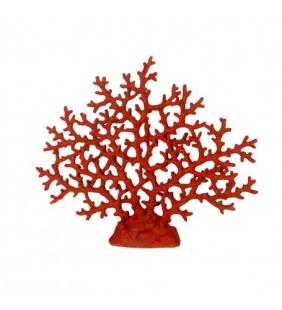 Coral marino