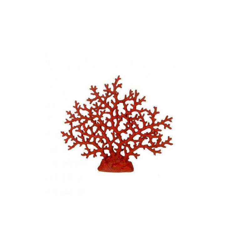Coral marino