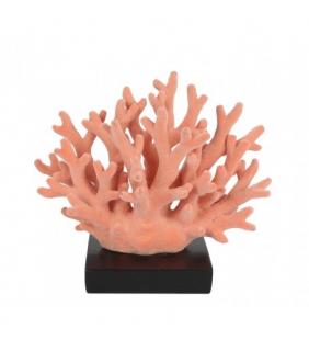 Coral marino decorativo