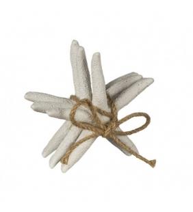 Estrellas de mar decorativas
