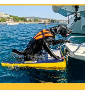 DogUp escala para perros