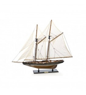 Bluenose