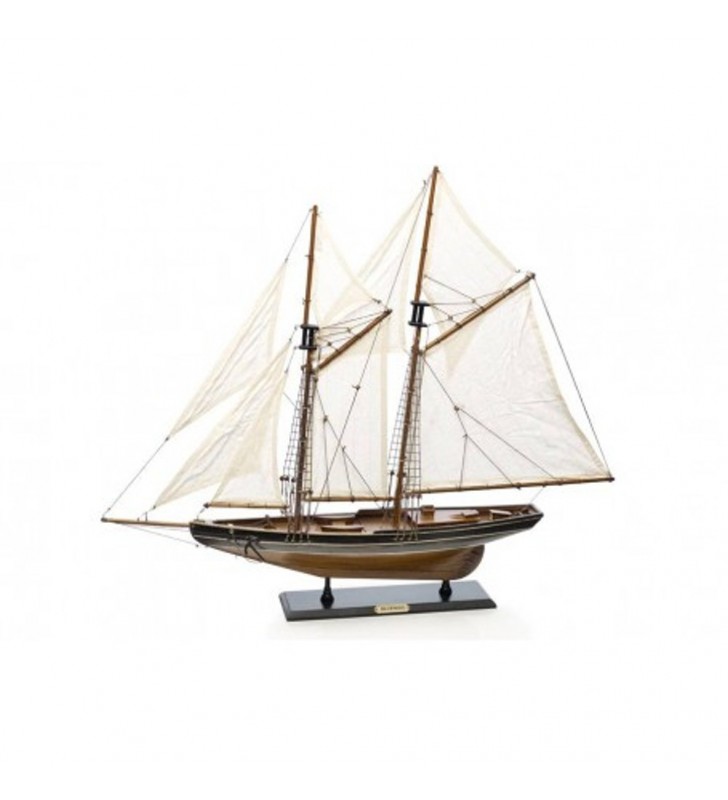 Bluenose