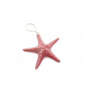 Estrella de mar decorativa