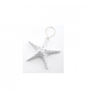 Estrella de mar decorativa