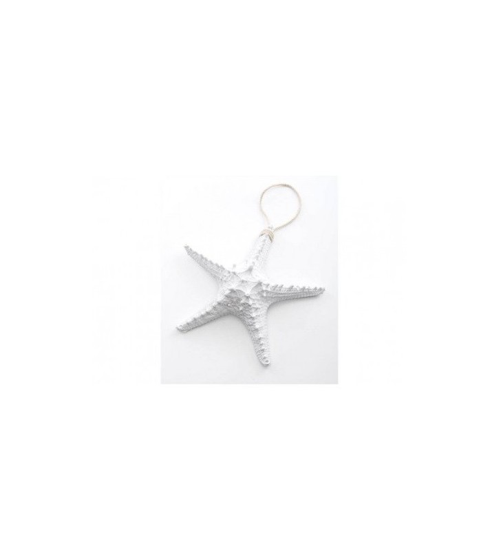 Estrella de mar decorativa