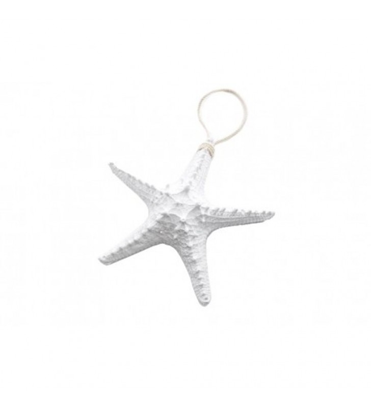 Estrella de mar decorativa