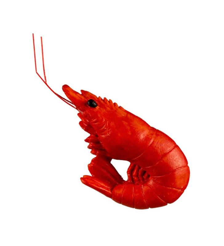 imanes gamba