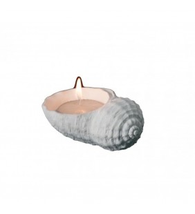 Vela caracola de mar