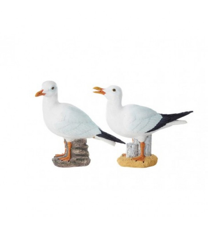 Pareja de gaviotas