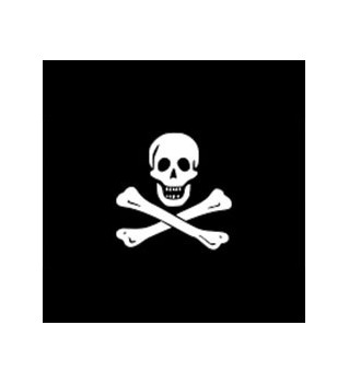 Bandera pirata 30 x 45 cm