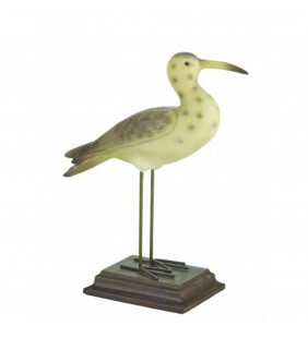 Figura de un Zarapito real