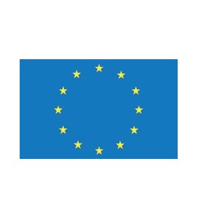 Bandera Europa 20 x 30 cm