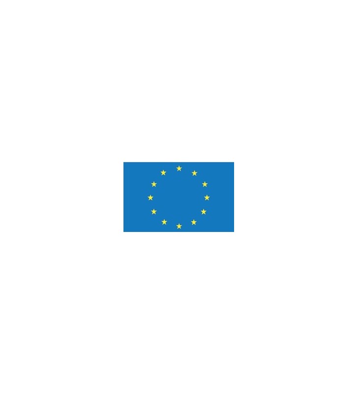 Bandera Europa 20 x 30 cm