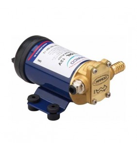 Bomba de extracción de aceite Marco 12V