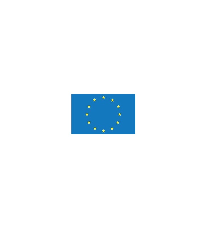 Bandera Europa 30 x 45 cm