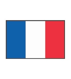 Bandera Francia 20 x 30 cm