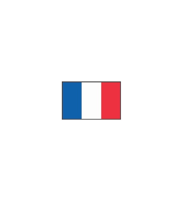 Bandera Francia 20 x 30 cm