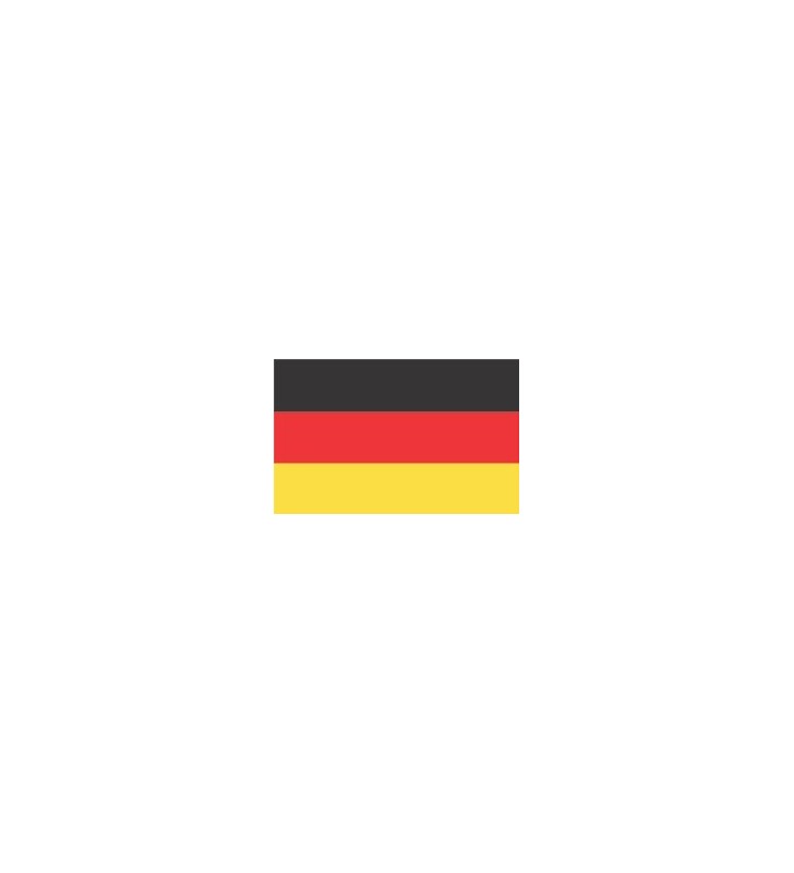 Bandera Alemania 20 x 30 cm