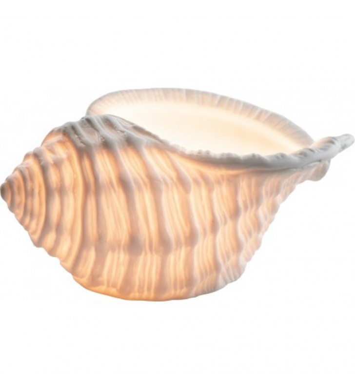 Vela caracola de mar