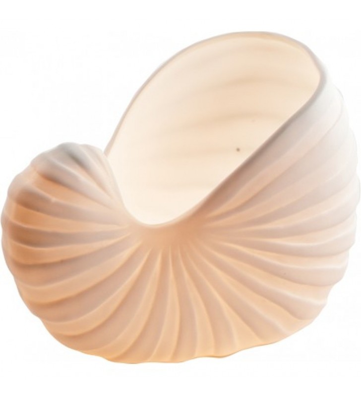 Vela caracola de mar